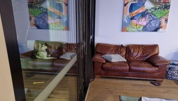 Anjingku suka duduk di sini, tapi tidak sekarang. Foto: Brightside