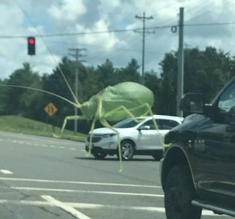 fotoinet ilusi objek