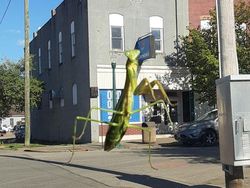 Kumpulan Foto Ilusi yang Menipu Mata Anda