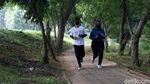 Hutan Kemayoran Wisata Alternatif Warga Ibu Kota