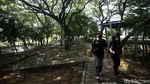 Hutan Kemayoran Wisata Alternatif Warga Ibu Kota