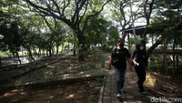 Hutan Kemayoran menjadi wisata alternatif di Ibu Kota untuk menikmati alam saat Pemberlakuan Pembatasan Kegiatan Masyarakat (PPKM) skala mikro.