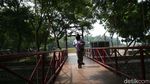 Hutan Kemayoran Wisata Alternatif Warga Ibu Kota