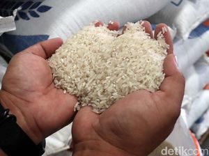Penerima Bansos Tunai dan PKH Kini Dapat Bonus Beras 10 Kg