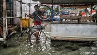 Menurut keterangan peneliti, setiap tahun tanah permukaan di kawasan Pesisir Pantai Pantura turun 15-20 cm setiap tahunnya. Sehingga mengakibatkan rob akan selalu hadir merusak segala bangunan di kawasan tersebut.
