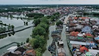 Menurut keterangan (BPBD) Badan Penangulangan Bencana Daerah) setempat, sejauh ini luas daerah yang terdampak rob di pesisir Demak sudah mencapai 35 meter persegi.