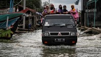 Banjir rob di Kabupaten Demak di sepanjang 45 kilometer dari Sriwulan (Sayung) hingga Kedungmutih (Wedung) seakan membuat warga berjuang sendiri, karena belum terlihat ada upaya dilakukan oleh Pemkab Demak untuk mengatasinya.