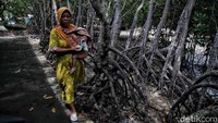 Banjir rob telah menghancurkan ekosistem pesisir yang kemudian berdampak pada hilangnya sumber ekonomi masyarakat sekitar.