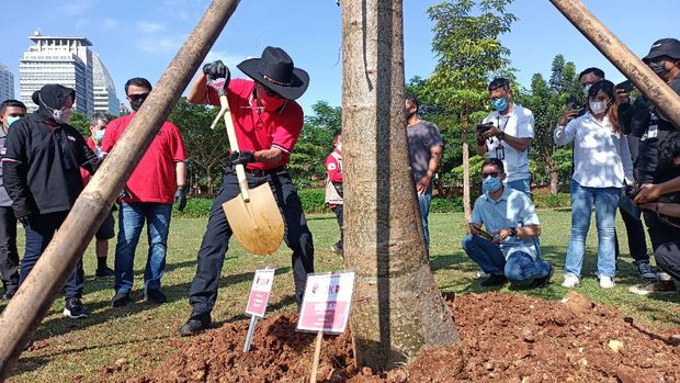 Kegiatan menanam pohon PDIP di hutan GBK, Jakarta, Minggu (21/3/2021).