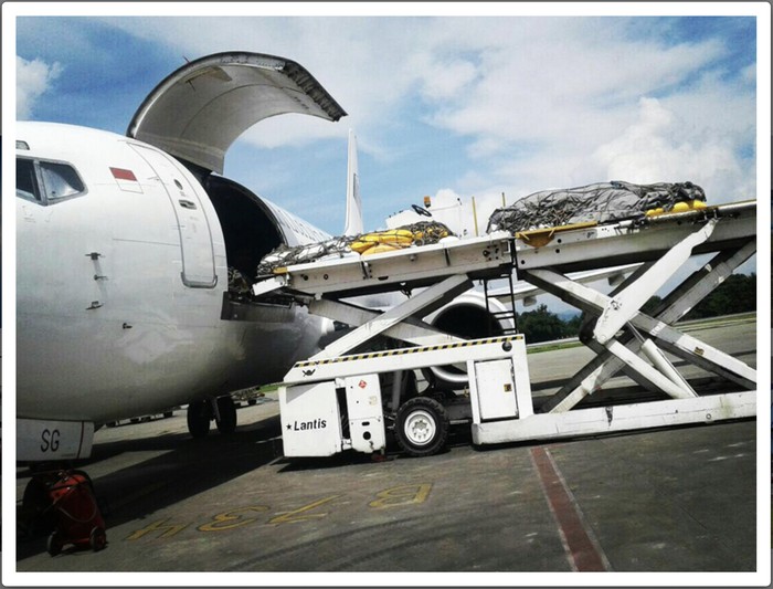 Pesawat Boeing 737-300 dan 400 Trigana Air