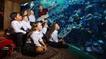 Foto: Ini Rumah Sakit untuk Ikan di Dubai