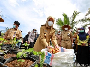 Banyuwangi Ditunjuk sebagai Daerah Penyangga Cabai Rawit Nasional