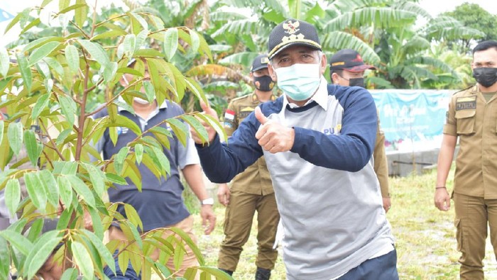 Bupati Ogan Komering Ilir, Iskandar,