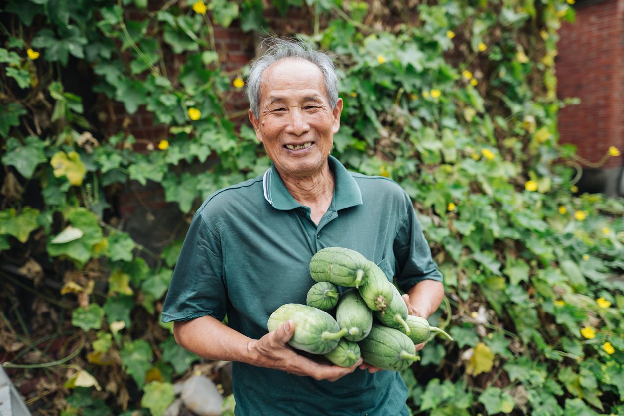 Cuma di Jepang, Bayar Pajak Diberi Hadiah Buah hingga Wagyu Mahal