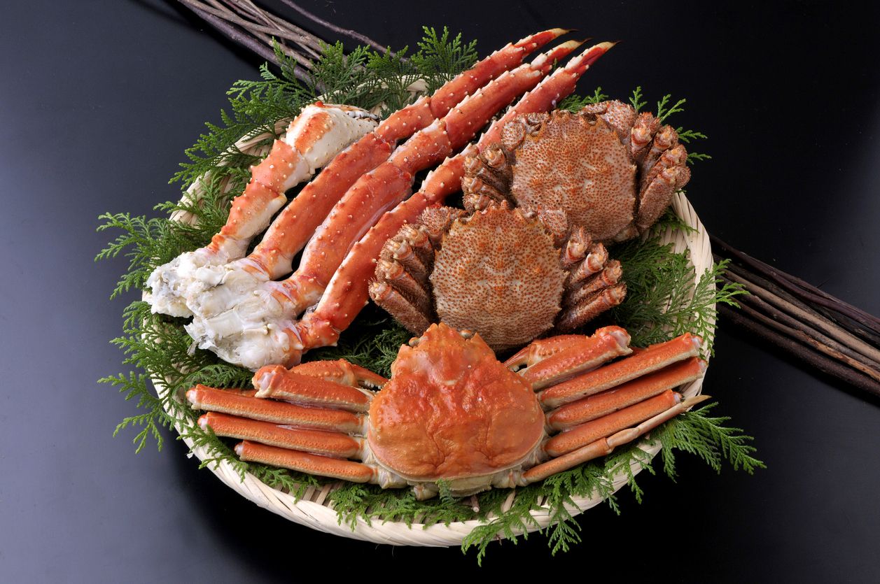 Cuma di Jepang, Bayar Pajak Diberi Hadiah Buah hingga Wagyu Mahal