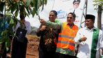 Saat Wagub Jabar Dorong Pembangunan Hutan Kota