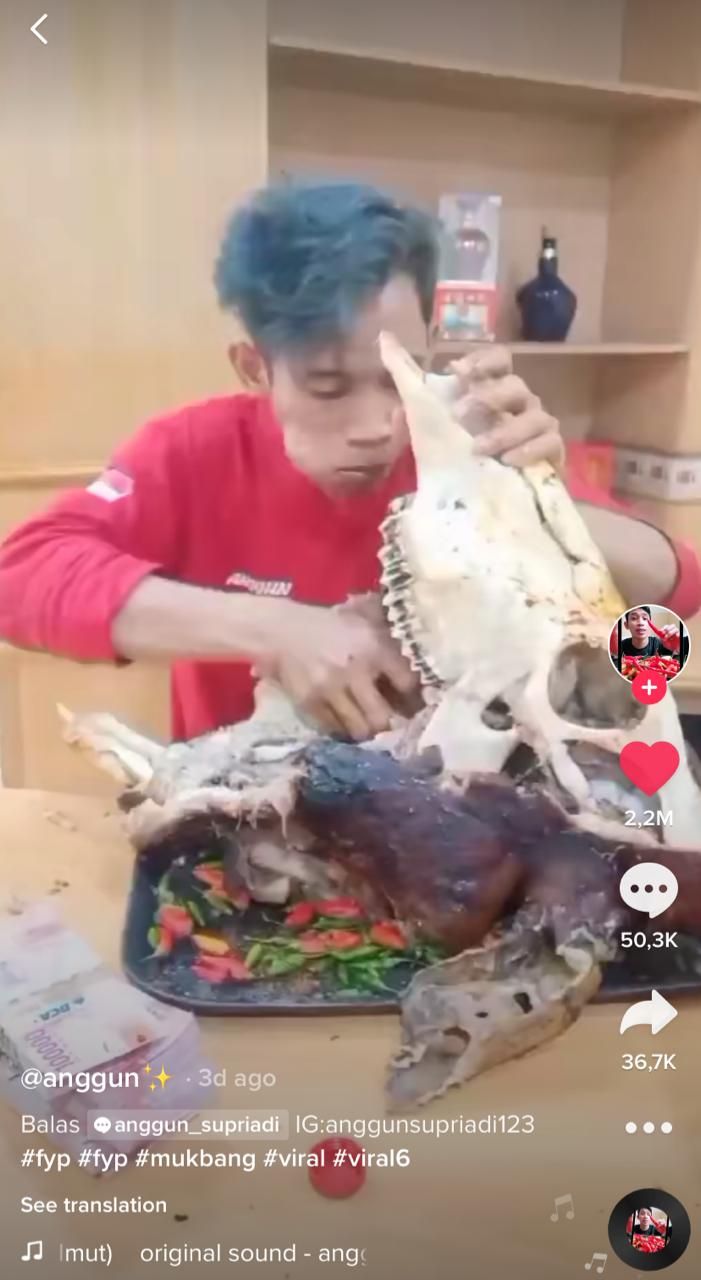 Gokil! TikToker Ini Mukbang Kepala Sapi dan Kepala Kambing Utuh