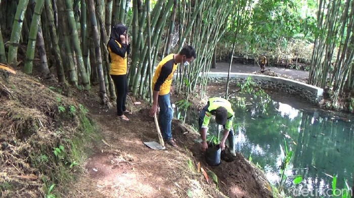 Hari ini merupakan Hari Air Sedunia. Warga lereng Gunung Semeru bersih-bersih dan menanam pohon di sumber mata air Tirtosari.