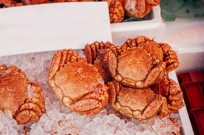 Kepiting kegani Fakta Kepiting Kegani Seharga Rp 5 Juta yang Diulas Sisca Kohl