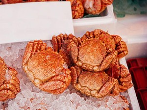 Fakta Kepiting Kegani Seharga Rp 5 Juta yang Diulas Sisca Kohl