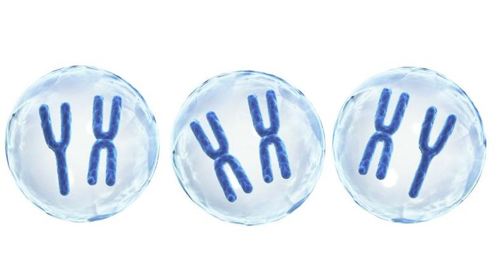 X and Y chromosomes in cells. Isolated on white background. 3d render