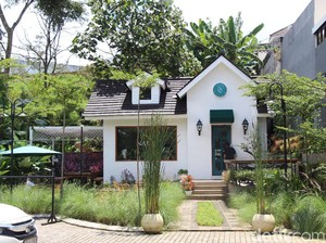 NARA Coffee : Segarnya Sakura Cold Brew di Kafe Cantik yang Tersembunyi