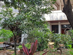 Kriminolog Mengupas Faktor Pencurian Bongkar Rumah Mewah di Jakbar