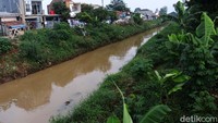 Saking lebarnya tanah sedimentasi, bisa dijadikan lahan pertanian. Ada pohon pisang dan singkong tubuh di tanah sedimentasi ini.