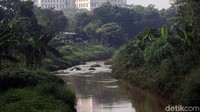 Jika volume air sedang tinggi, terjadi penyumbatan di aliran sungai ini karena aliran air tertahan oleh tanah sedimentasi ini.