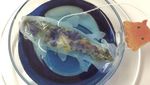 Bikin Gemas! Teh Kantong Berbentuk Lumba-lumba hingga Kepiting