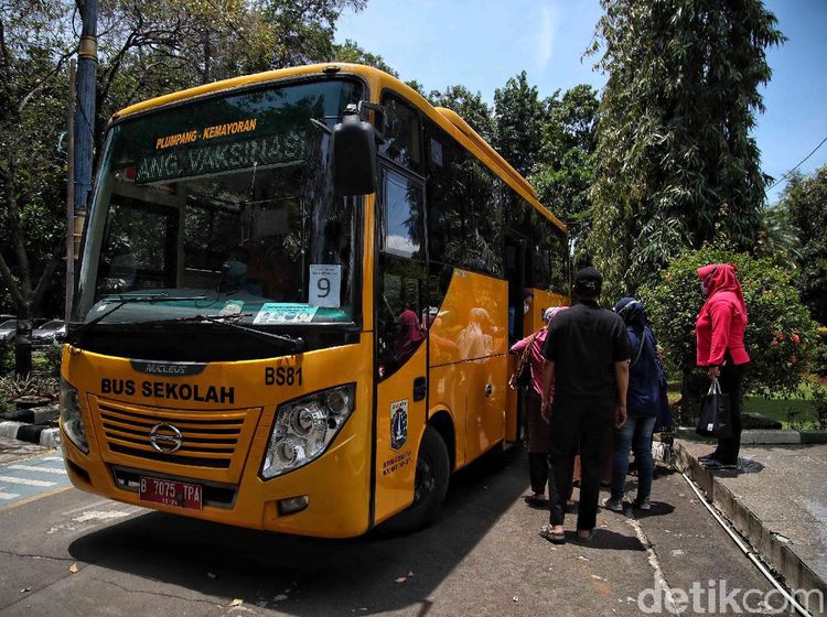 Wus! Bus Sekolah Ini Wara-wiri Antar Jemput Vaksinasi Lansia