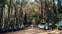 Wisata alam di Desa Cikidang, Lembang ini menyuguhkan suasana asri hutan pinus dan kesegaran udara yang tak ada di kota, itulah Hutan Pinus Giri Wening. Berbagai fasilitas ada di sini seperti tempat bermain anak, mushala, kamar mandi, camping ground hingga jembatan mini. 