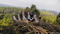 Curug Pelangi Cimahi di Desa Kertawangi, Kecamatan Ngamprah, Bandung Barat menyuguhkan pemandangan air terjun yang keren. Ada banyak spot foto juga di sini. Untuk ke sini, traveler harus meniti 587 anak tangga dari pintu masuk curug hingga ke air terjunnya.