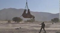 Memindahkan badak juga membantu memastikan kumpulan gen yang beragam. Dan badak masih diburu oleh para pemburu, yang mengincar cula mereka sebagai bahan pengobatan tradisional Tiongkok, perhiasan dan ukiran hias.