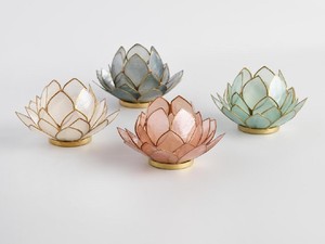 Modal Kulit Kerang Bisa Dapat Rp 70 Juta! Mau Coba?