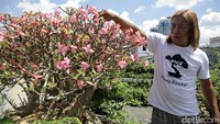 Rudy juga menjual pohon bonsai yang ia budidayakan.
