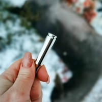 Hingga sekarang, ia sudah berhasil memburu lebih dari 100 hewan, termasuk rusa besar, babi hutan, hingga anjing laut. Namun tak sembarang hewan menjadi target Erica. Wanita 35 tahun itu punya kriteria untuk hewan-hewan yang menjadi sasaran. Misalnya saat ia berburu anjing laut karena populasinya yang meningkat mengganggu persediaan ikan. Foto: Instagram @ ericavictoria.e