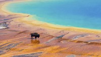 Setiap menitnya, Grand Prismatic Spring mengeluarkan 2.100 liter air dengan suhu 70 derajat Celcius. (Getty Images)