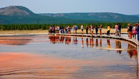 Warna-warna pelangi tak didapat begitu saja. Ada peran dari spesies Thermophile bacteria atau bakteri yang tahan hidup di air panas. (Getty Images)