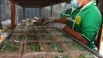 Keren! Santri Ponpes di Depok Ini Produksi Tempe Lho