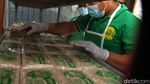 Keren! Santri Ponpes di Depok Ini Produksi Tempe Lho