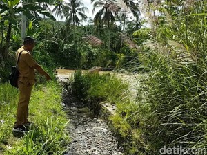 Irigasi Adalah: Manfaat, Tujuan, dan Jenisnya