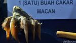Ustaz Gondrong Pengganda Uang Diamankan Polisi