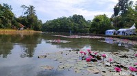 Semoga penataan dan revitalisasi Situ Wangi ini bermanfaat terutama menjadi salah satu wisata primadona di Ciamis. (Dadang Hermansyah/detikTravel)