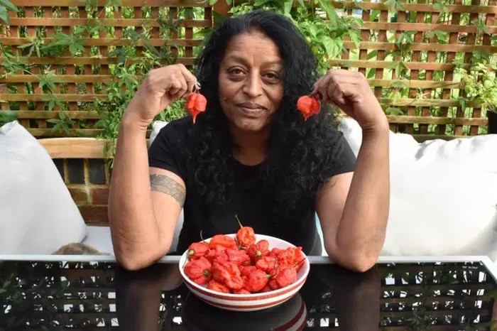 wanita ikut tantangan makan cabe super pedas wanita ikut tantangan makan cabe super pedas, keluhkan rasa sakitnya lebih dari melahirkan.