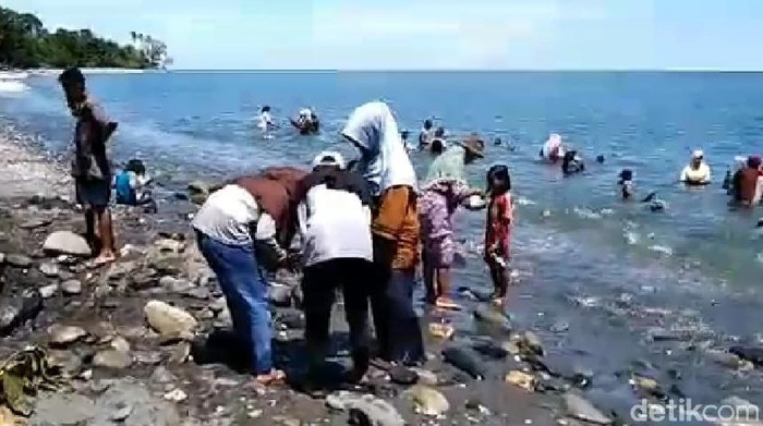 Warga mencari butiran emas di Pantai Pohon Batu, Maluku Tengah.