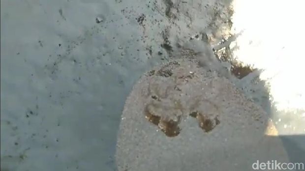 Warga mencari butiran emas di Pantai Pohon Batu, Maluku Tengah.