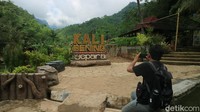 Di wisata Kali Bening ada sejumlah spot. Mulai spot foto, kolam renang, air terjun, hingga sungai. Dia menjelaskan sekali masuk dipatok tarif yang relatif murah. Cukup Rp 5 ribu saja. (Dian Utoro Aji/detikTravel)