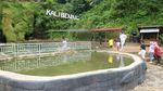 Foto: Ini Dia yang Segar-segar di Jepara