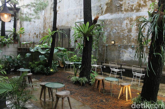 Adem Banget! Di Bogor Bisa Ngopi Santai di Bawah Pohon Pinus Adem Banget! Di Bogor Bisa Ngopi Santai di Bawah Pohon Pinus
